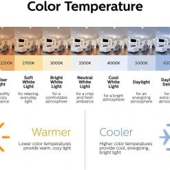 Philips LED 545921 Non-Dimmable A19 Light Bulb: 800-Lumen, 2700-Kelvin, 10