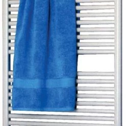 Runtal RTR-2924-9010R 29-Inch H By 24-Inch W Towel Radiator Hydronic, Runtal White